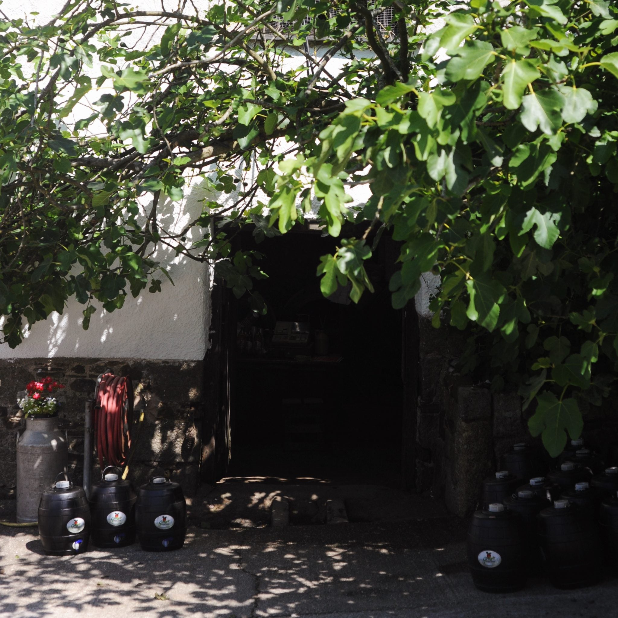 Gray's Devon Cider