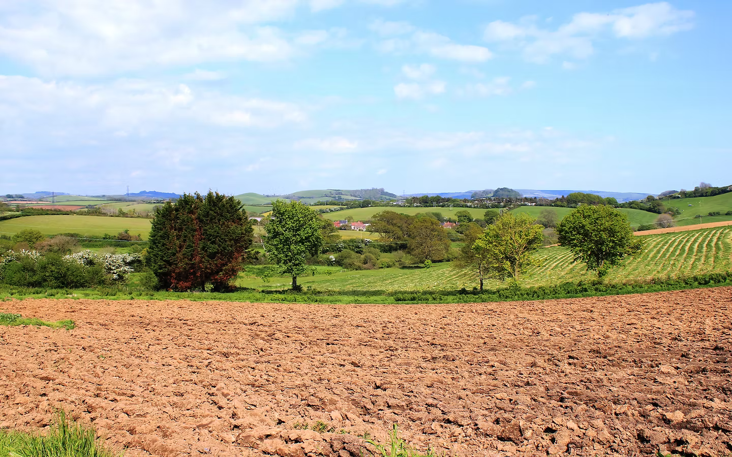 Washingpool Farm Shop