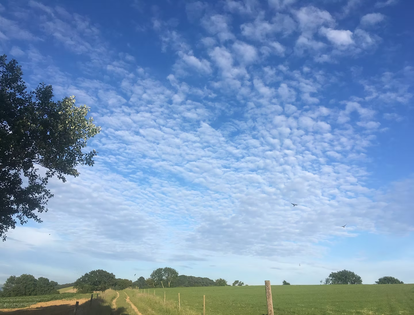 Washingpool Farm Shop