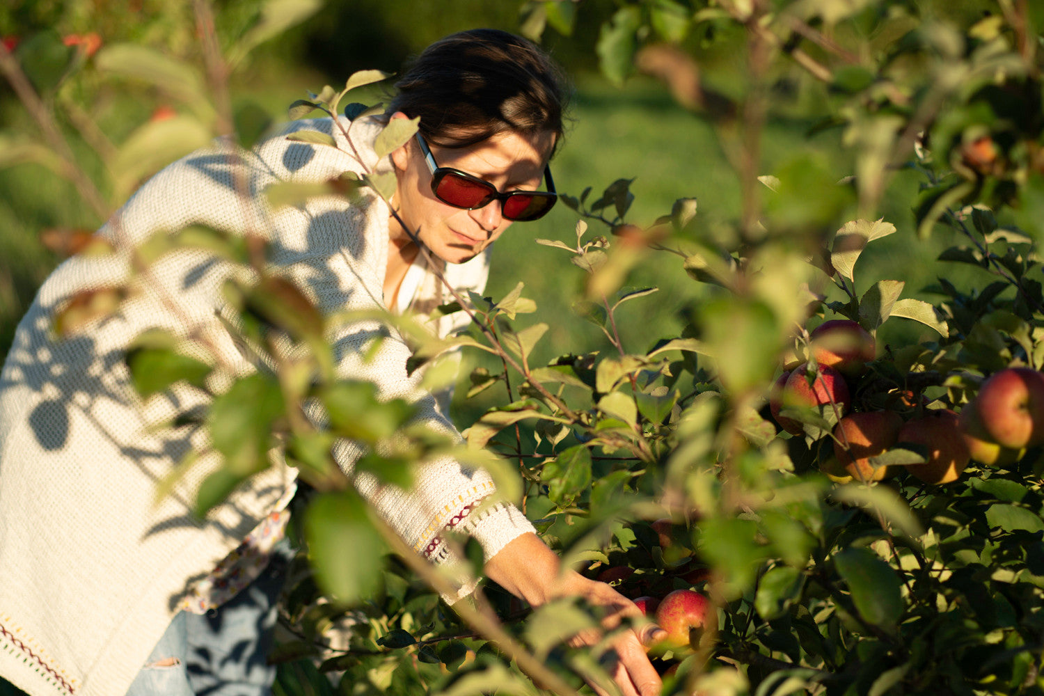 Apple Natural