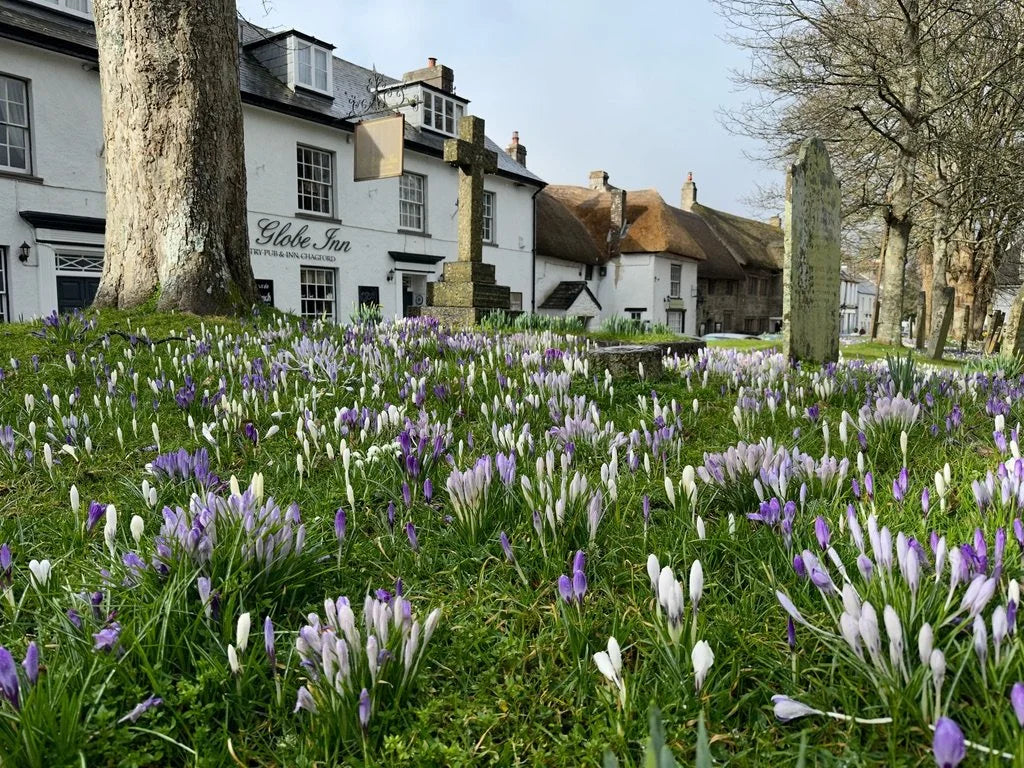 The Globe Inn