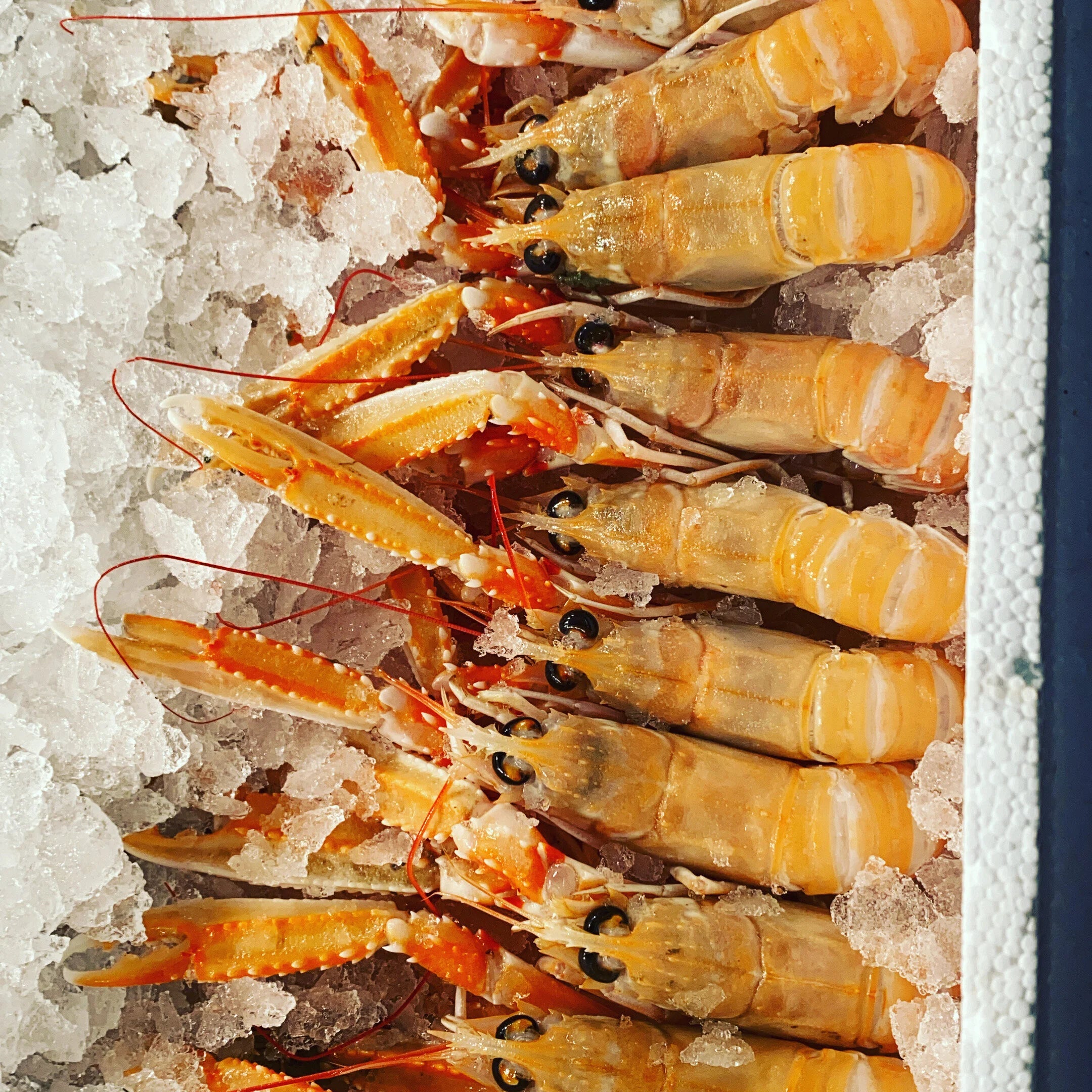 Saveur