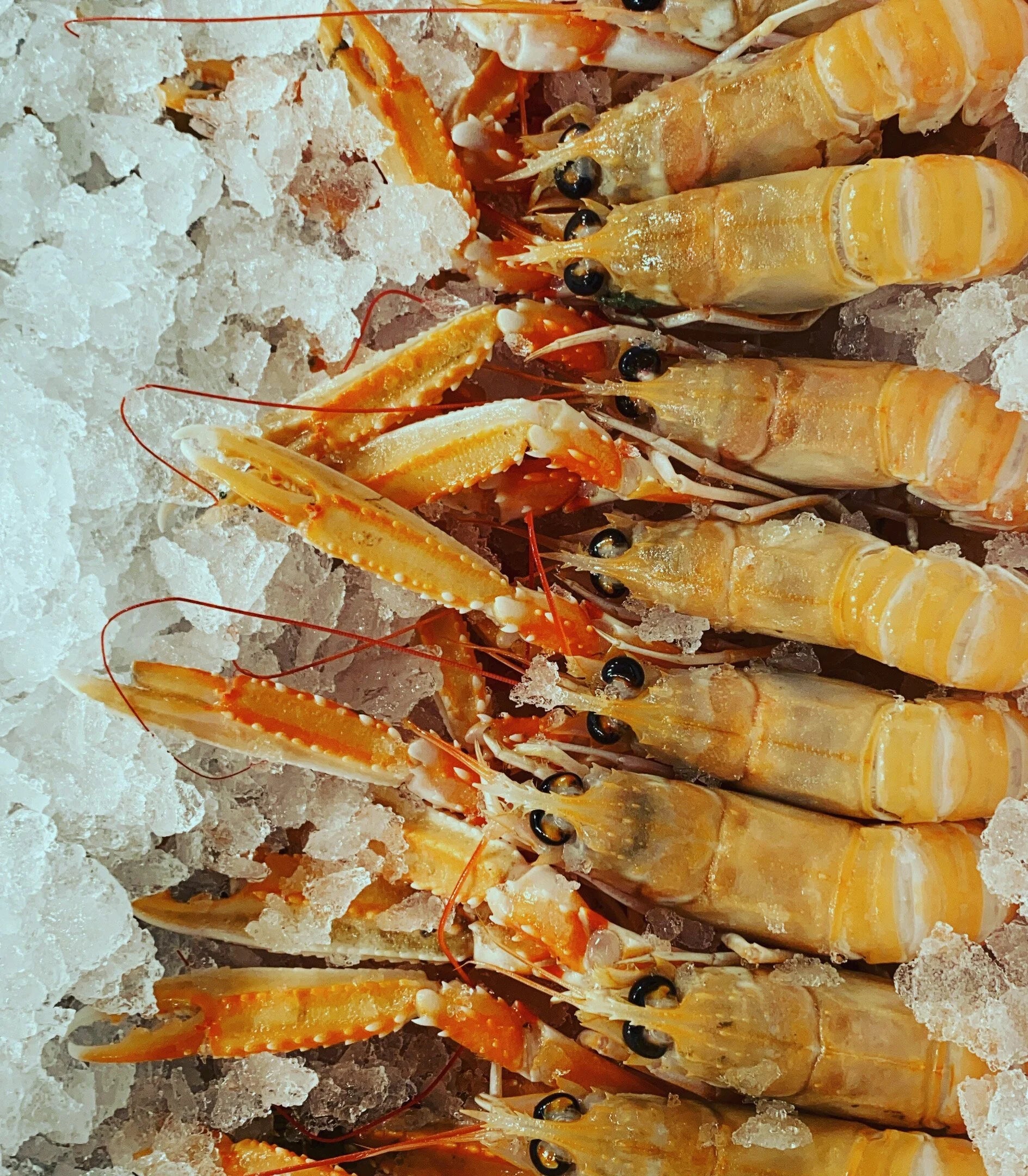 Saveur