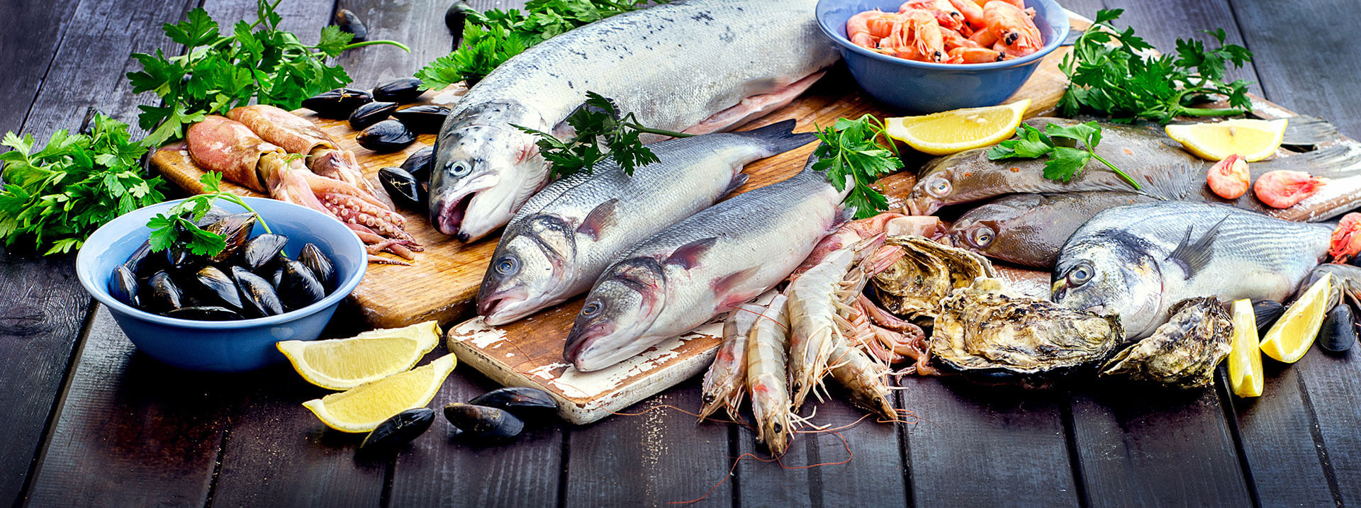 Catch of the Day and Salcombe Smokers