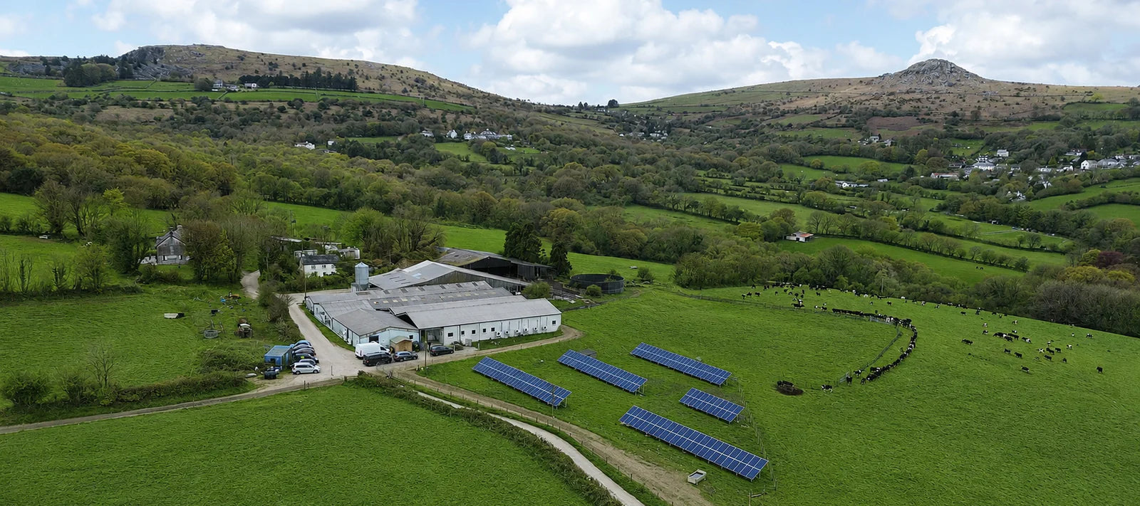 Cornish Cheese Company Ltd