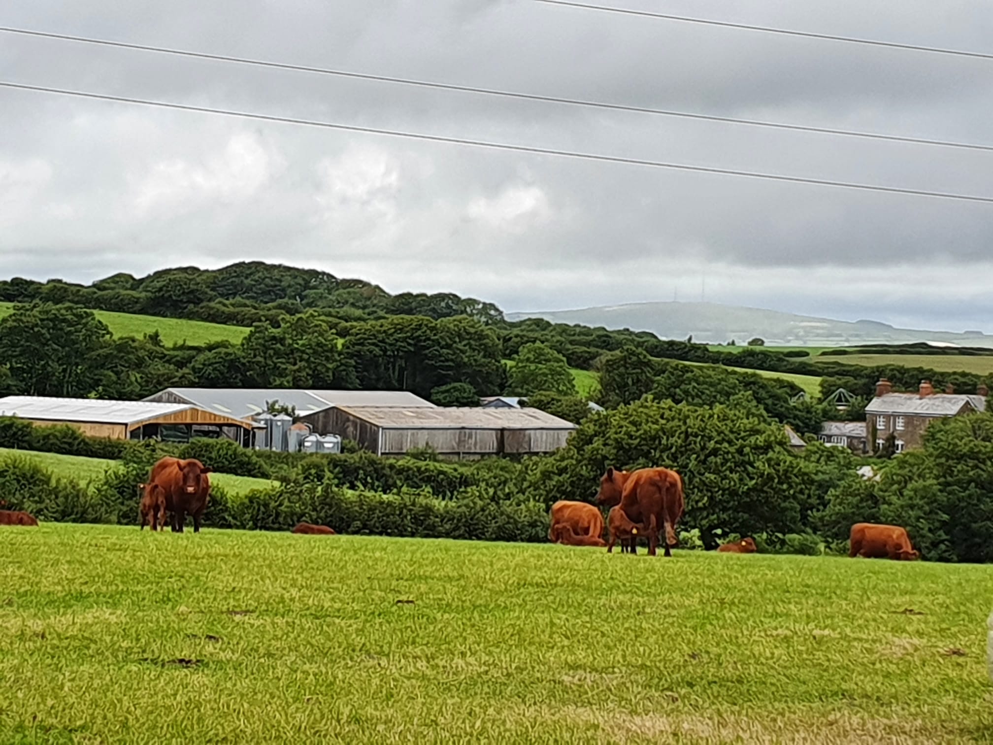 Penbugle Organic Farm