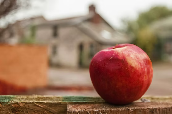Fowey Valley Cider