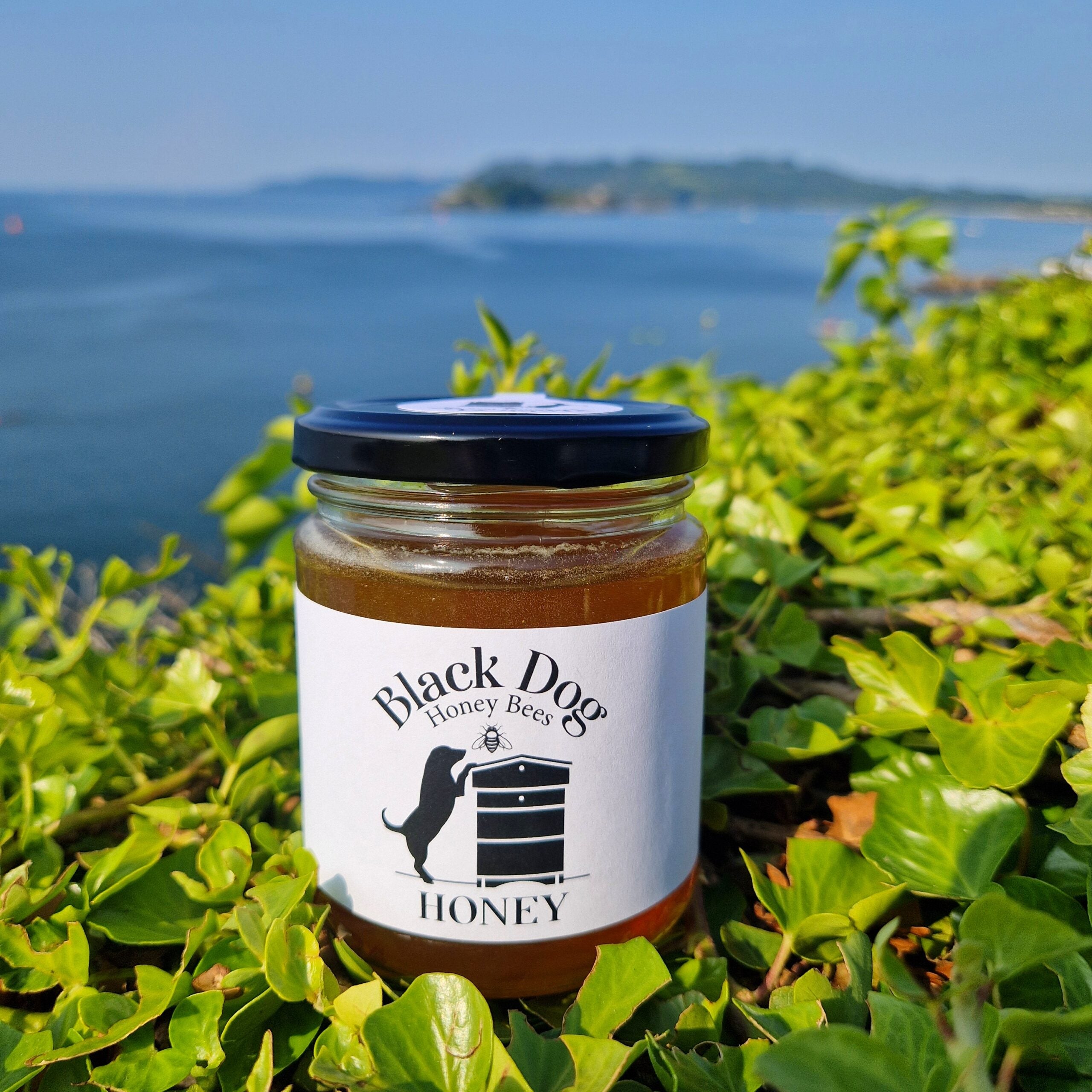 Black Dog Honey Bees Ltd