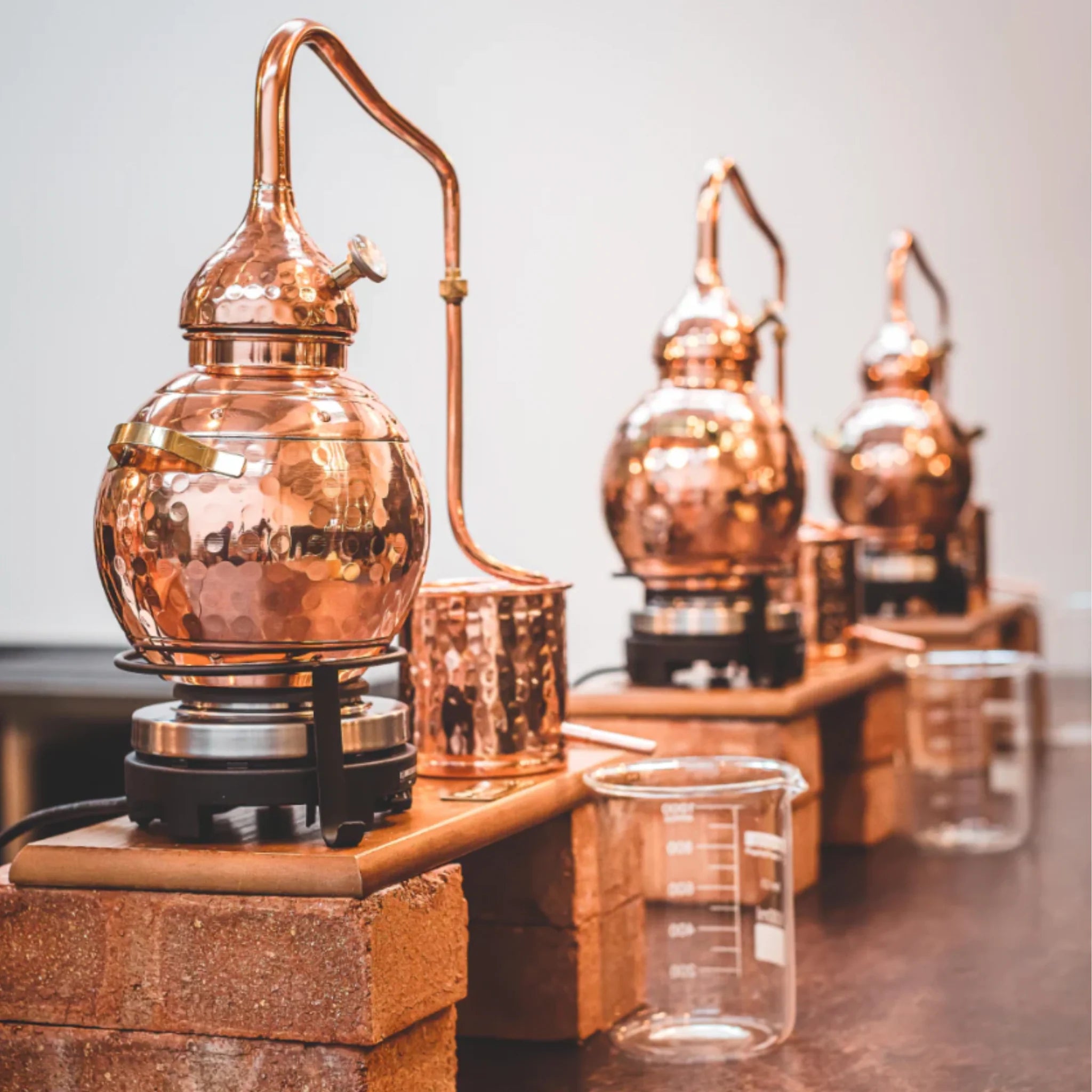 Exeter Gin Ltd