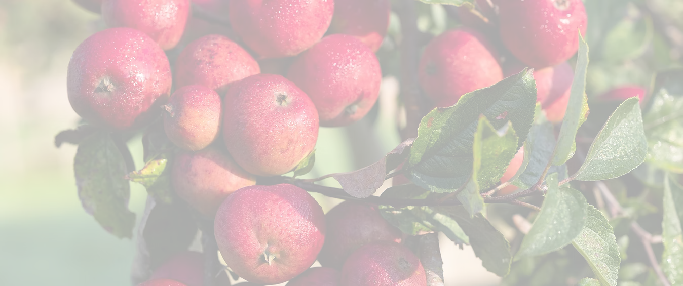 Ridgeway Cider
