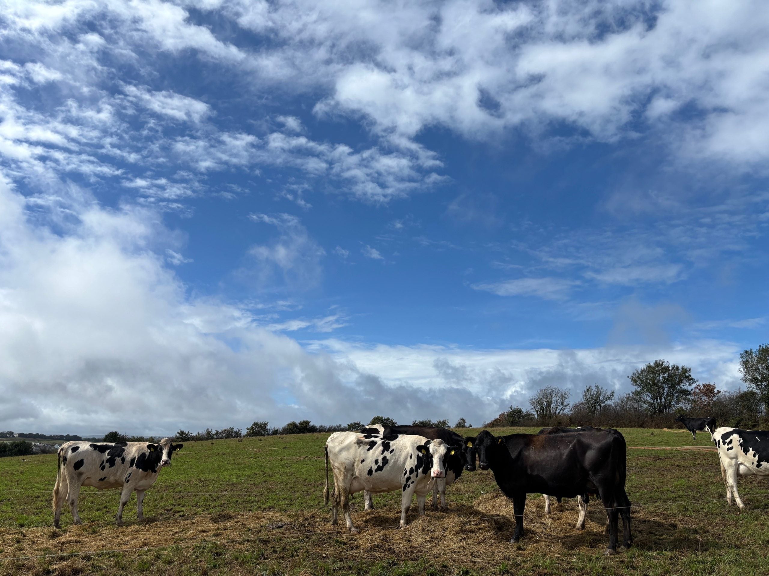 Porsham Farm