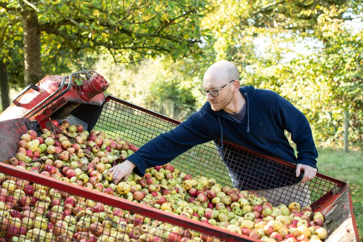Ridge & Furrow Cider