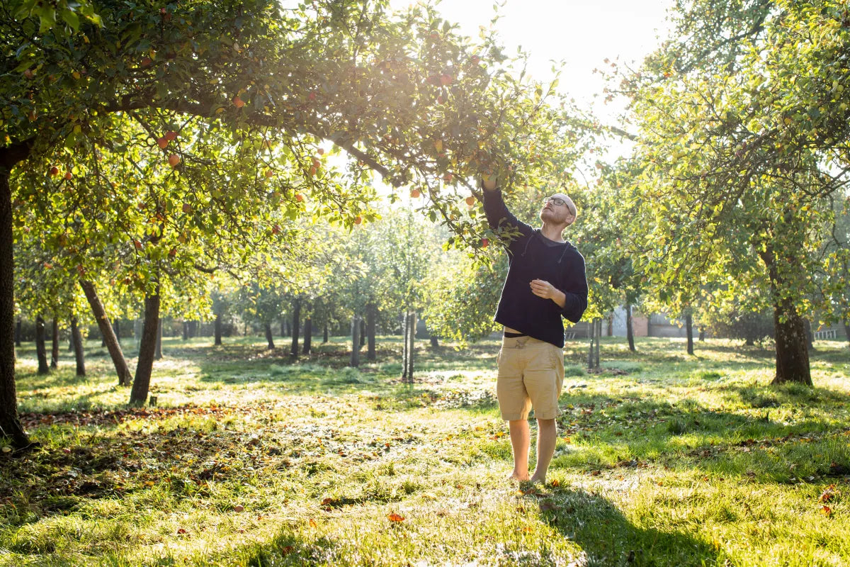 Ridge & Furrow Cider