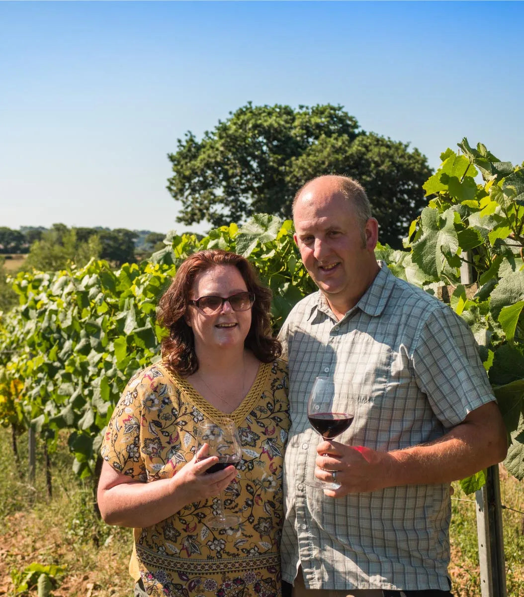 Torview Wines