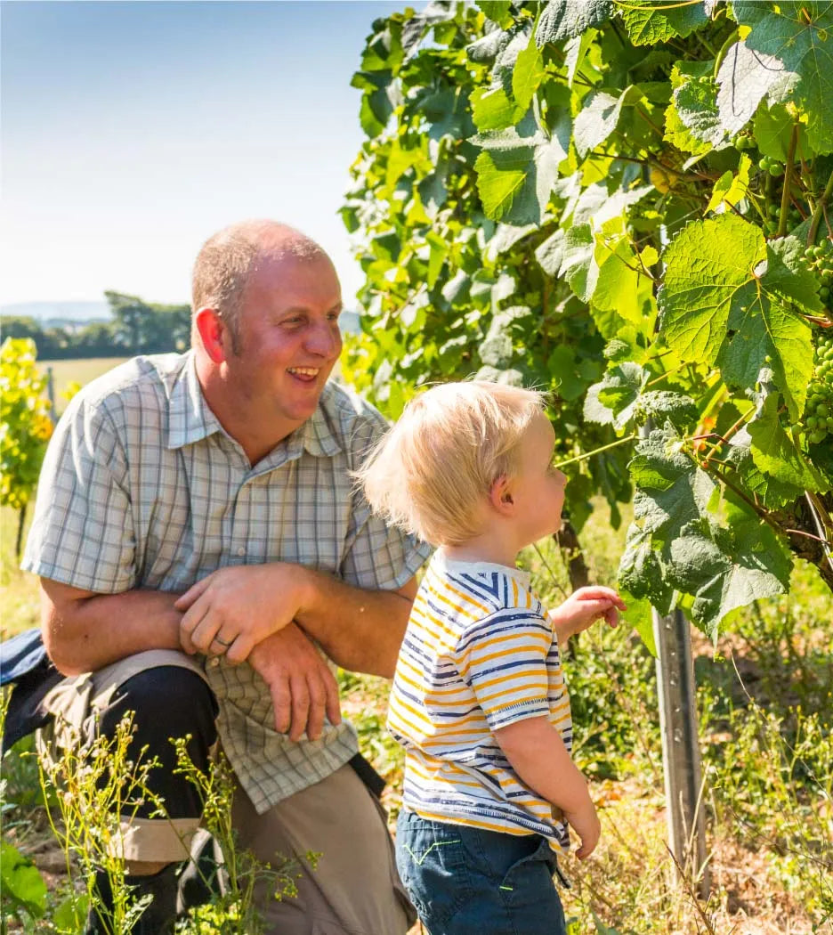 Torview Wines
