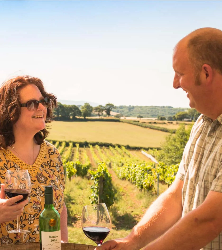 Torview Wines