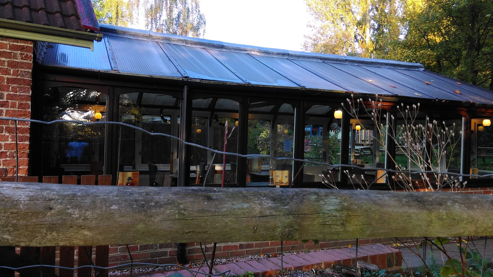 The Twisted Oak